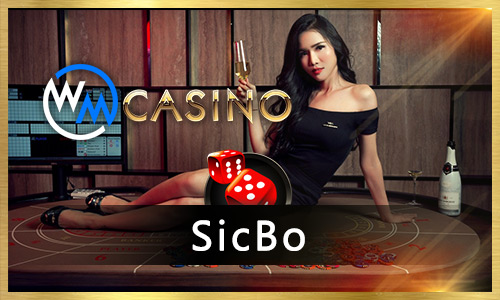 15win bruxo bet cassino Terminal móvel